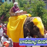 అమ్మాయికి అంబారీ